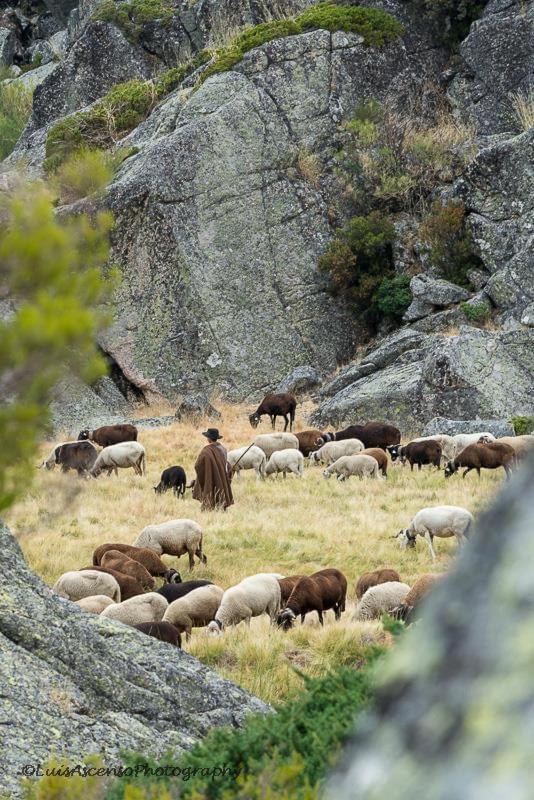 Senhora Da Estrela Al Διαμέρισμα Seia Εξωτερικό φωτογραφία